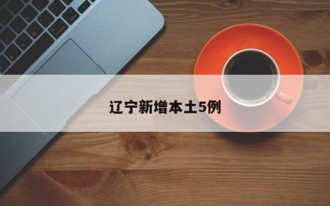 辽宁新增本土5例