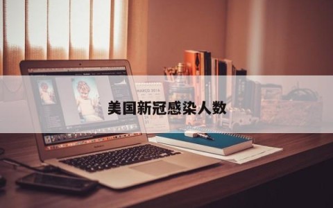 美国新冠感染人数