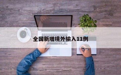 全国新增境外输入11例