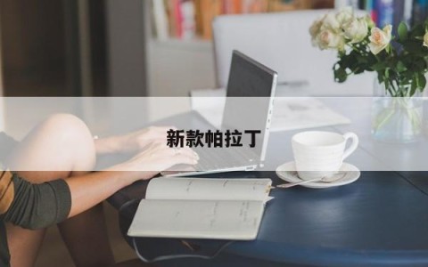 新款帕拉丁