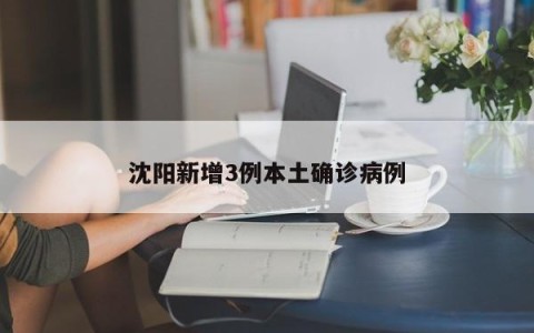 沈阳新增3例本土确诊病例