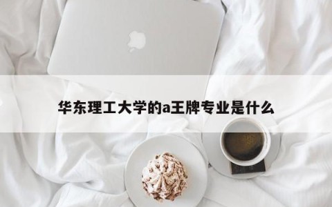 华东理工大学的a王牌专业是什么