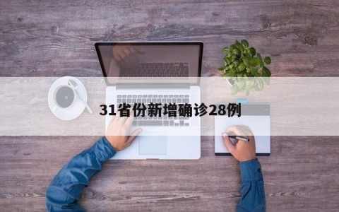 31省份新增确诊28例