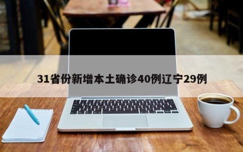 31省份新增本土确诊40例辽宁29例