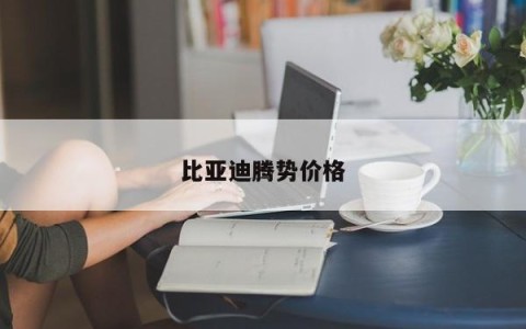 比亚迪腾势价格