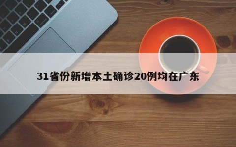 31省份新增本土确诊20例均在广东