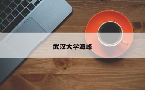 武汉大学海峰