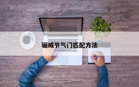骊威节气门匹配方法